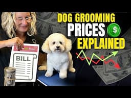 The Real Cost of Dog Grooming in the U.S. (And How Often to Go)