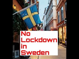 Dr. Anders Tegnell Speaking about Why no Lockdown in Sweden on COVID 19