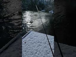 Fishing on the first snow day of the year!