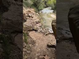 Come along with me on a hike… Lower Calf Creek Falls, Escalante National Monument #utah #hiking