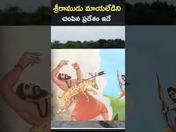 శ్రీరాముడు మాయలేడిని చంపిన ప్రదేశం ఇదే | Jeedikallu ledy banda history | jeedikallu ramalayam