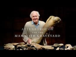 Attenborough and the Mammoth Graveyard