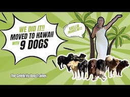 WE MOVED OUR 9 DOGS TO HAWAII | Kaelin And Her Pups 030