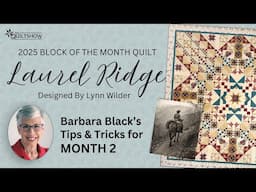 Block of the Month Quilt - Laurel Ridge by Lynn Wilder - Month 2