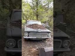 Abandoned car lost in the woods rescued after 40+ years!  #mccoolauto #cars #abandoned #junkyard