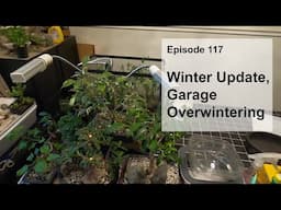 Episode 117, Winter Update, Overwinter in Garage