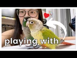 PLAYING WITH MY BIRDS AND MY DOG | Spending Time With My Pets VLOG