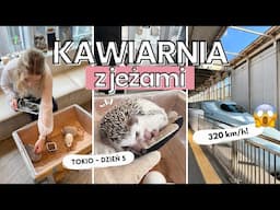 Kawiarnia z jeżami i wydrami | Darmowe atrakcje w Tokio | Shinkansen do Kioto / JAPONIA VLOG 5 🇯🇵