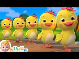 5 Little Ducks(Learn Colors Song) | NuNu TV  Nursery Rhymes & Kids Songs