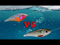 Which Lure color will work Best?