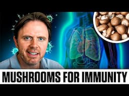 Top 5 Mushrooms for Immune Health – Immunity Boosting Mushrooms