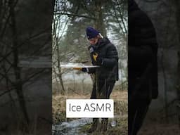 Ice ASMR (Cracking sounds) #frozen #forest #natureasmr