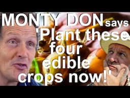 Monty Don says 'Plant these four vegetables now'