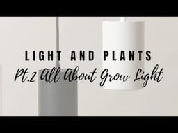 Light and Plants: Part 2 - All About Grow Light