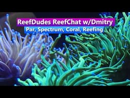 ReefDudes ReefChat w/Dmitry - Par, Spectrum, Coral, Reefing