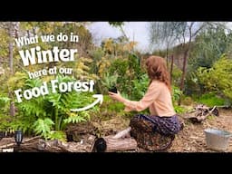 Handcrafting our Winter Skin Cream, Planting (more) Evergreens and The Wonders of Woodchips