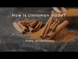 How is cinnamon made?