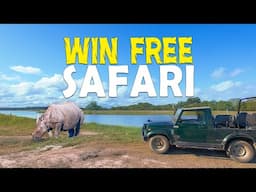 Kaziranga Safari Experience with FREE SAFARI GIVEAWAY - 4K Video Hindi | हिन्दी