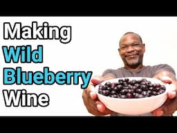 Making Wild Blueberry Wine With Tasting