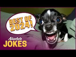 FUNNIEST Pets of 2024! BEST VIDEOS OF THE YEAR!😂