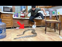 Hmare new ghar mein snake tha 😱 | Ghar Ki shifting