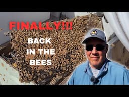 Winter Beekeeping Tasks | Preventing Starvation and Treating for Mites