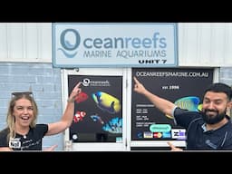 Oceanreefs Marine Aquariums *STORE TOUR*