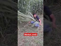 Stock market crash | Crypto market crash