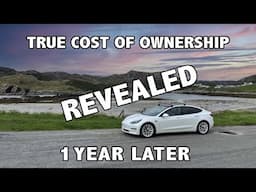 True Cost of Owning a Tesla - 1 year later