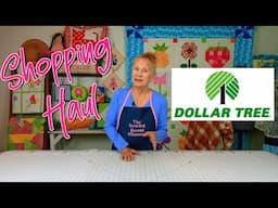 Dollar Tree Shopping Haul | Spring Haul | The Sewing Room Channel