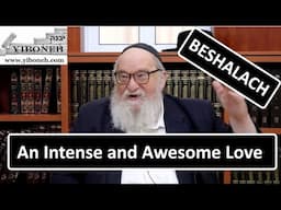 Rav Yitzchak Breitowitz: An Intense and Awesome Love