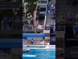 YAN Xin Wins Gold At The Junior Diving World Championships #YANXin #diving #WorldChampionships