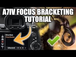 Sony A7IV Focus Bracketing Tutorial + Editing