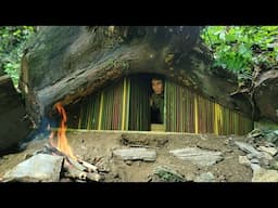 Man, build shelter in giant fallen tree stump beautiful and warm in wild forest