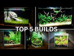 My top 5 Aquarium builds of 2024!