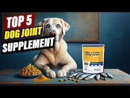 Affordable Dog Joint Supplements: Budget-Friendly Options