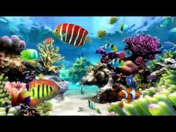 Dream Aquarium Relaxing Fish Tank For Focus | Water Sounds Only No Music | 3 Hours