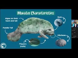 Manatee Webinar 03-04-2024