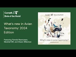 What’s New in Avian Taxonomy: 2024 Edition | Birds of the World Discovery Webinar