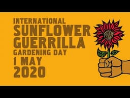 GGTV International Sunflower Guerrilla Gardening Day Rally 2020