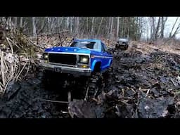 TRX4 Hightrails in The Dam Swamp Trails!!