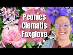 🌸 New Spring Plants at Home Depot! CLEMATIS, PEONIES & Berry Bushes + Planting Foxglove 🌿