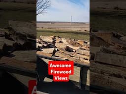 Good Looking Firewood Views. #firewood #firewoodbusiness #shorts