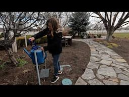 How & Why I Water Outside in Winter (+ Planting 3 Annuals from Seed)! 💦🌸🌿 // Garden Answer