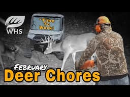 February Deer Hunting Chores