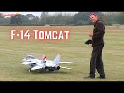 F-14 Tomcat with SWING WING (Steve Kilbon) | Southern Model Show 2024