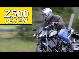 2024 Kawasaki Z500 Review: Is more torque enough?