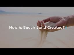 How is Beach Sand Created?