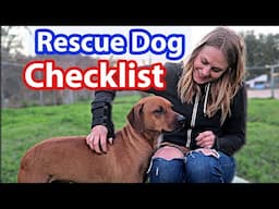 Ultimate RESCUE DOG Checklist | Dog MUST-HAVES