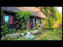 Russia, Evening walk in the countryside, Saint Petersburg / Ma maison russe.